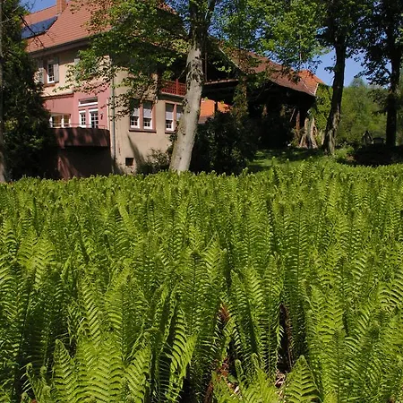 Ferienwohnungen Reichholdsmuehle Kaiserslautern Exterior photo